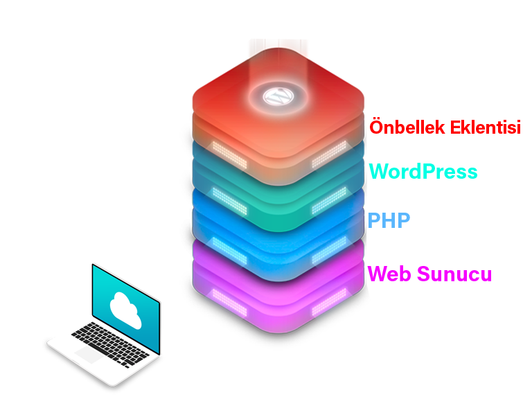 Geleneksel Tek Sunuculu WordPress